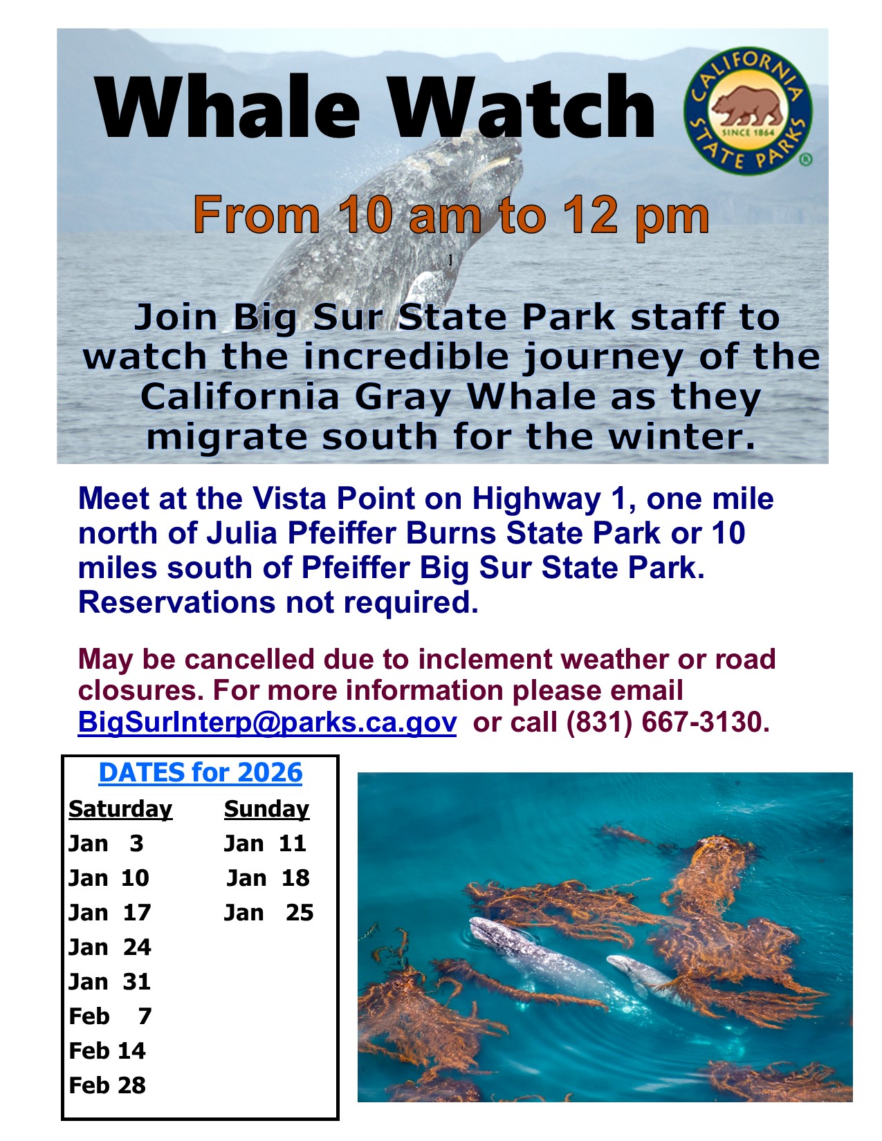 Whale Watch Whale Watch